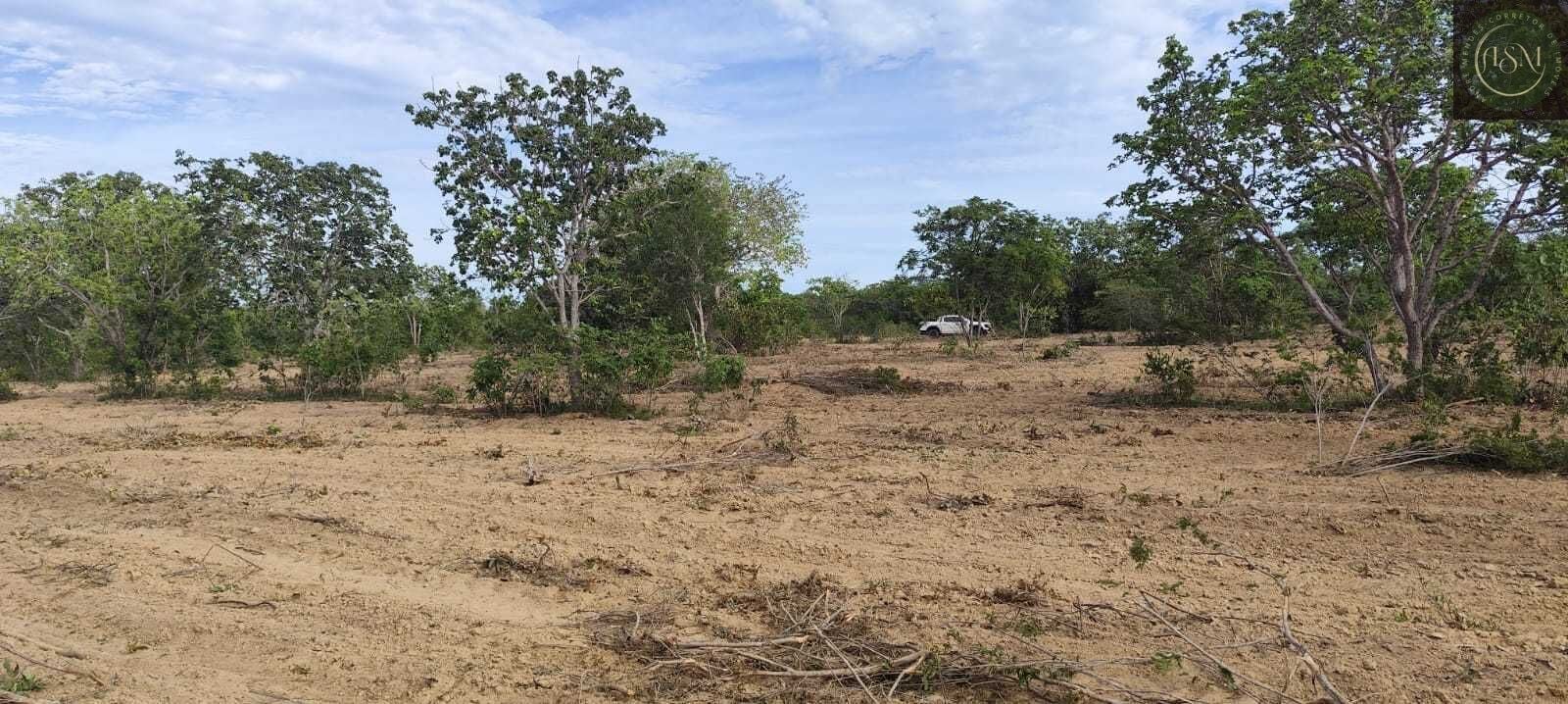 Fazenda, 2340 hectares - Foto 16