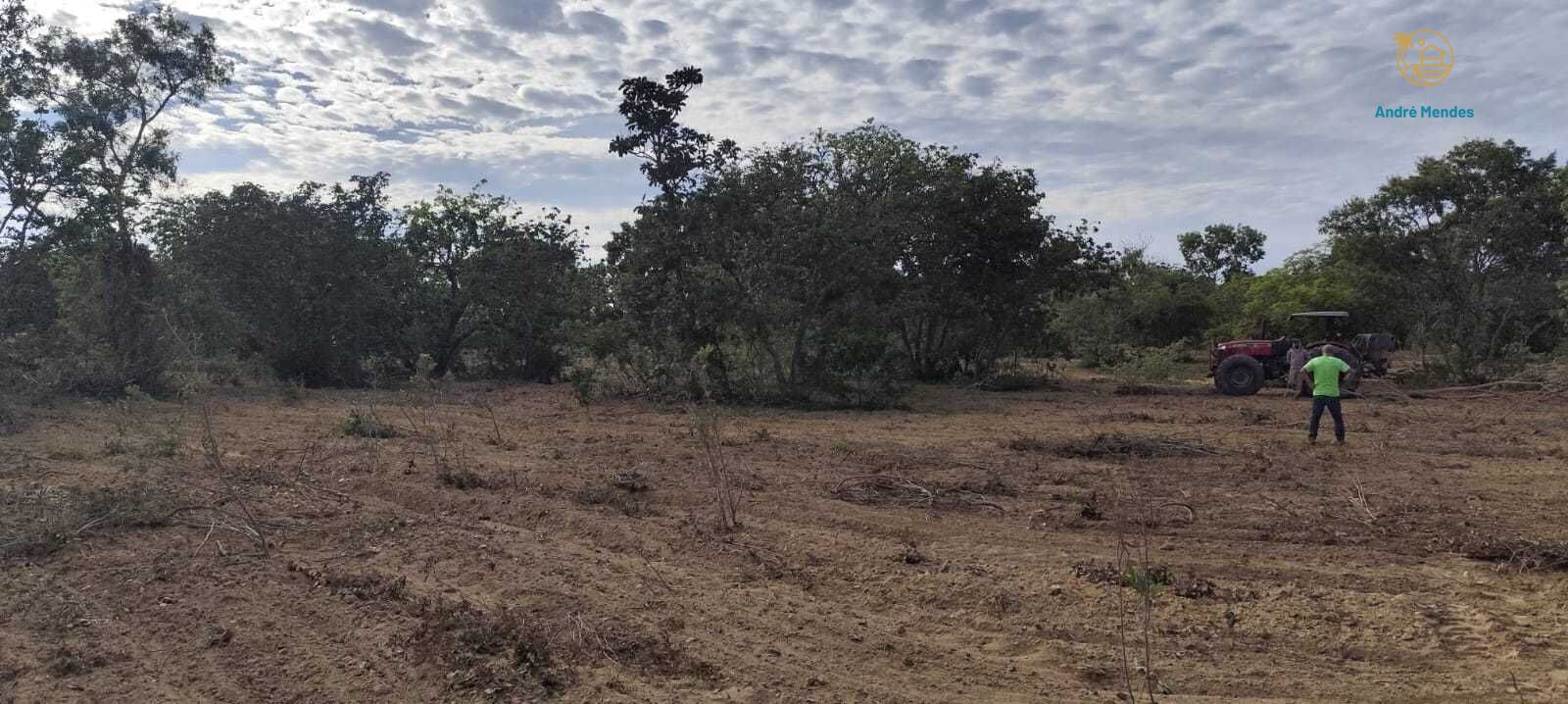 Fazenda, 2340 hectares - Foto 15