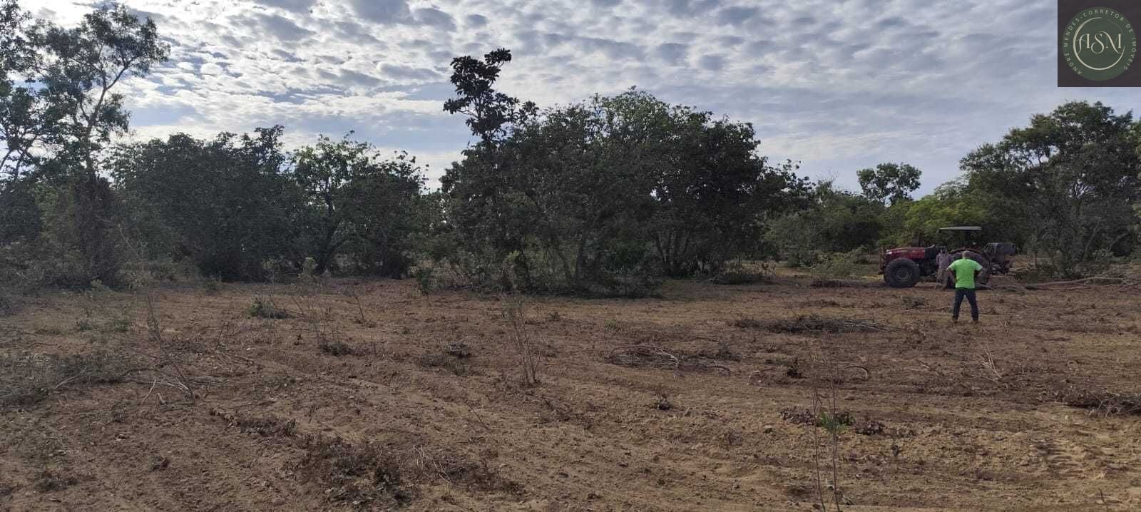 Fazenda, 2340 hectares - Foto 15