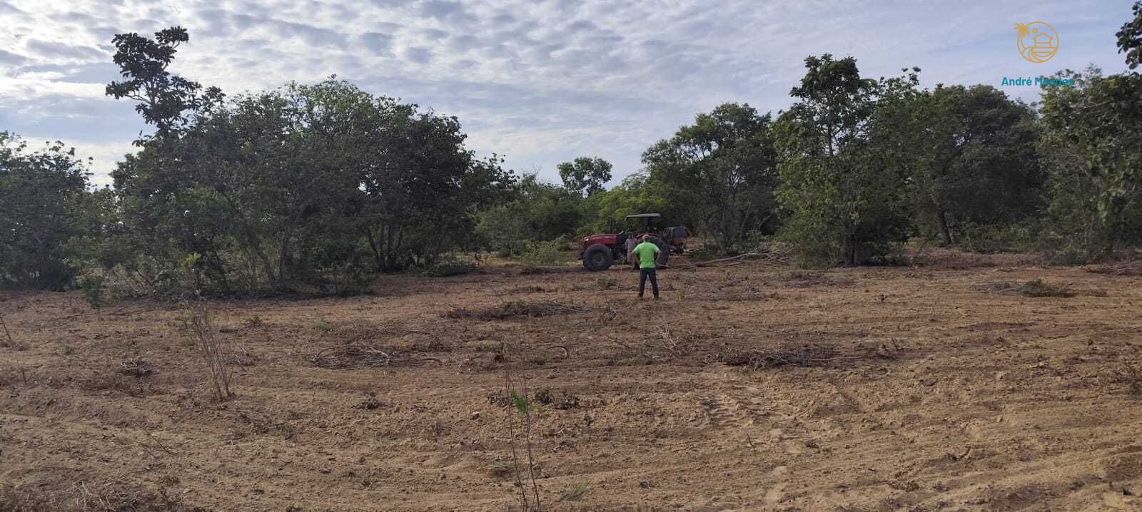 Fazenda, 2340 hectares - Foto 20
