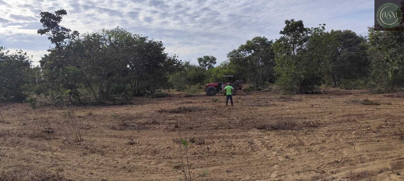 Fazenda, 2340 hectares - Foto 20