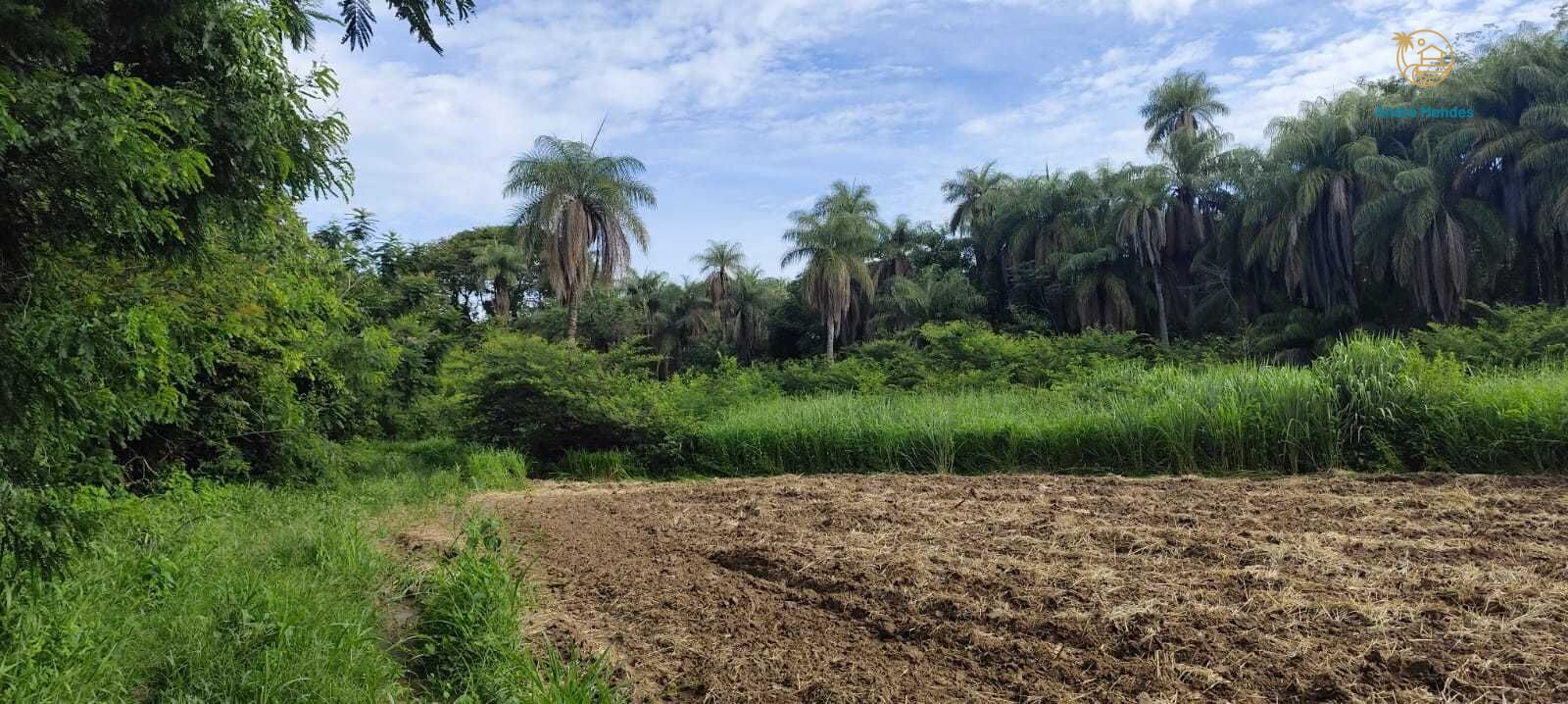 Fazenda, 2340 hectares - Foto 21
