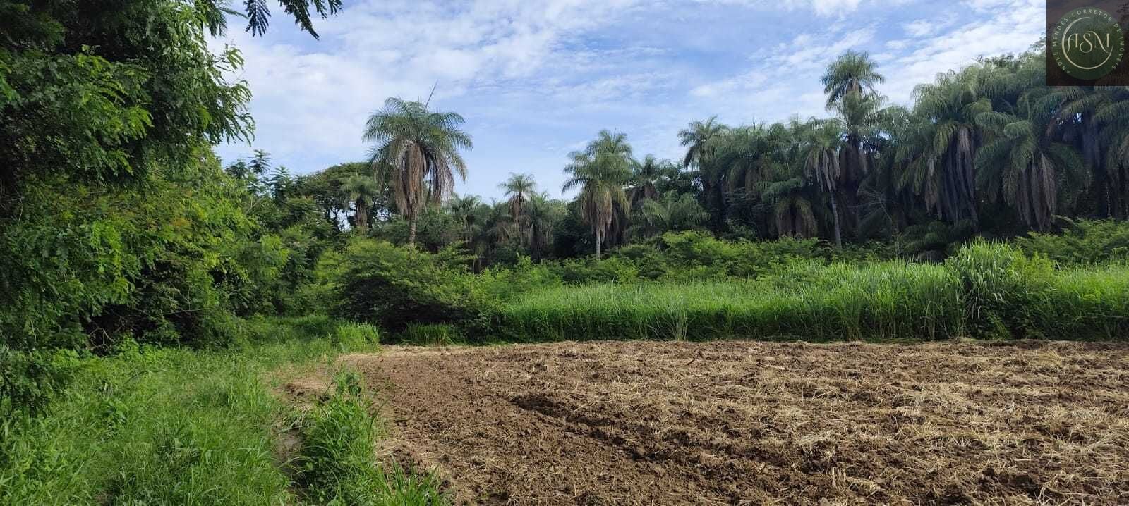 Fazenda, 2340 hectares - Foto 21