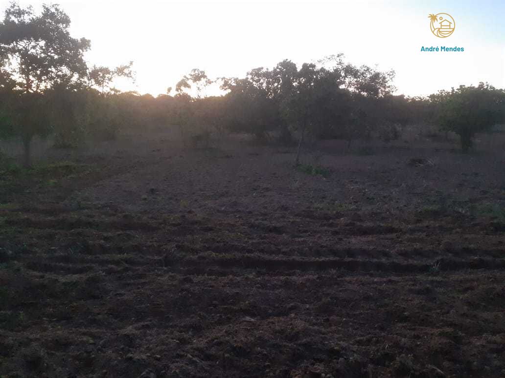 Fazenda, 2340 hectares - Foto 24