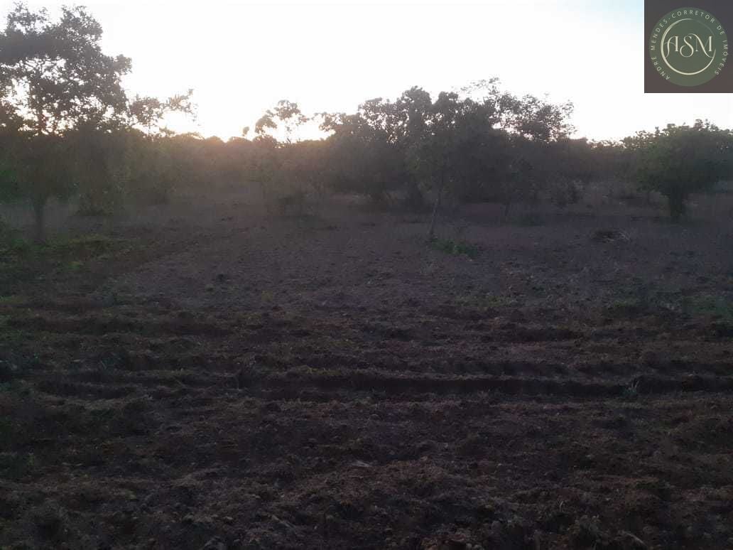 Fazenda, 2340 hectares - Foto 24