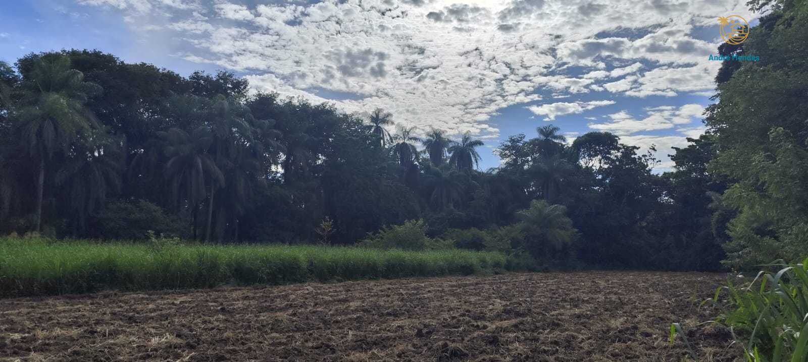 Fazenda, 2340 hectares - Foto 22