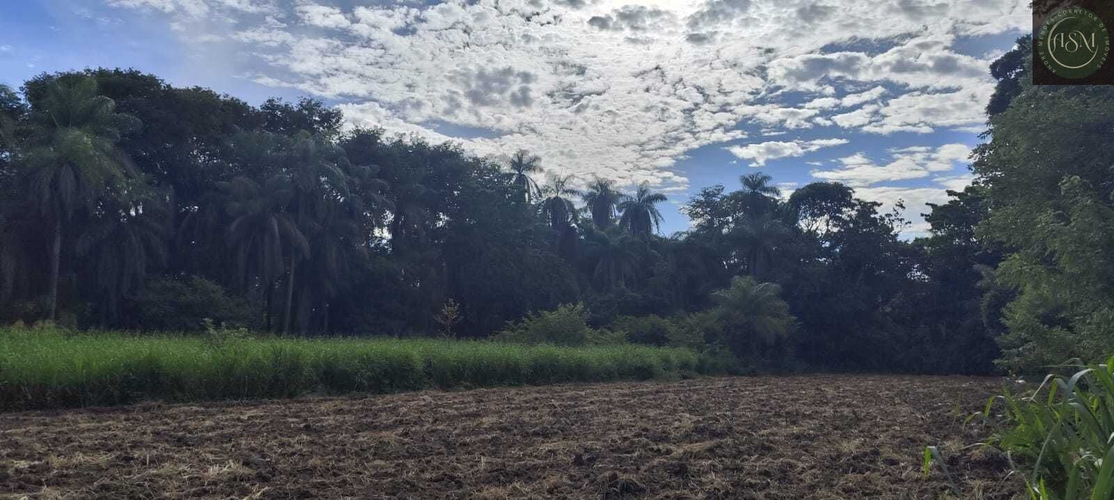 Fazenda, 2340 hectares - Foto 22