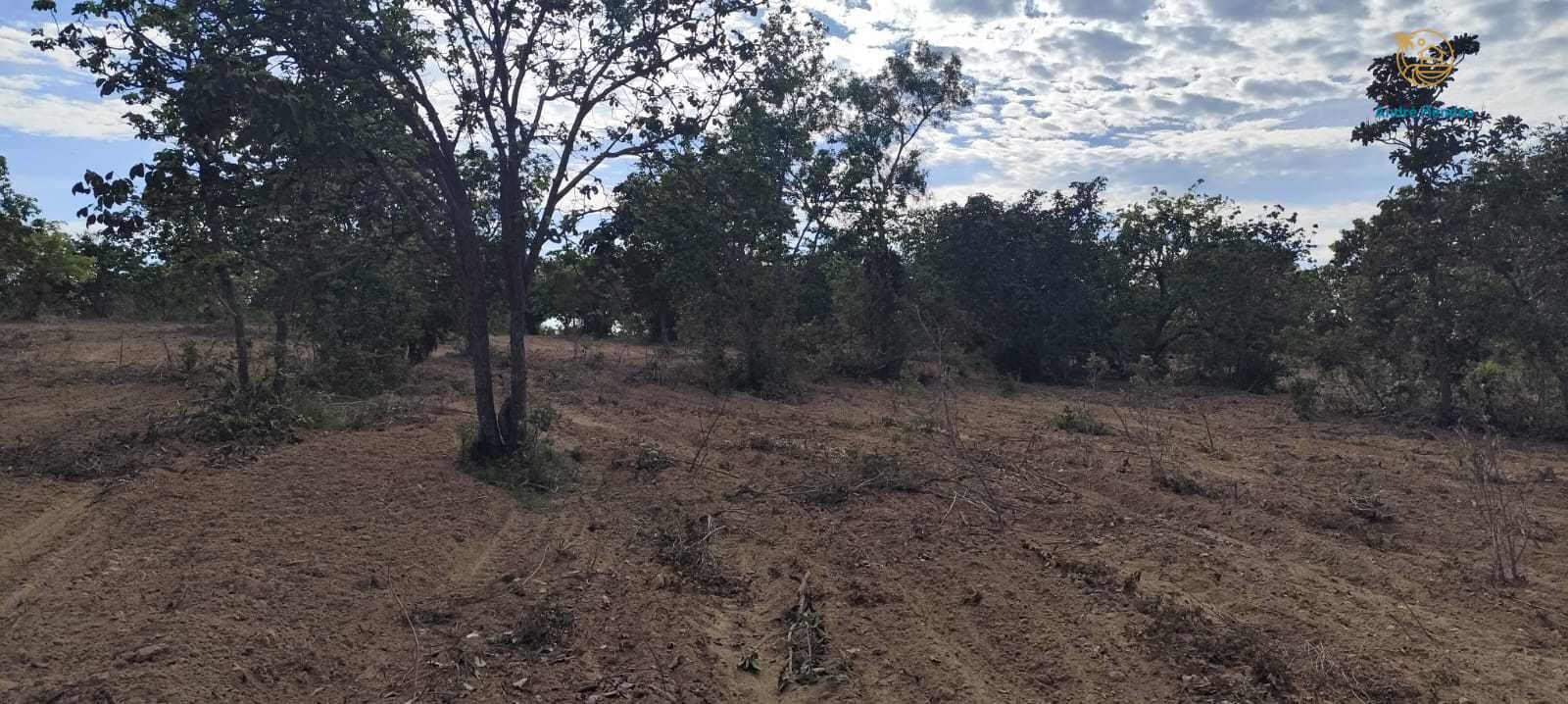 Fazenda, 2340 hectares - Foto 19