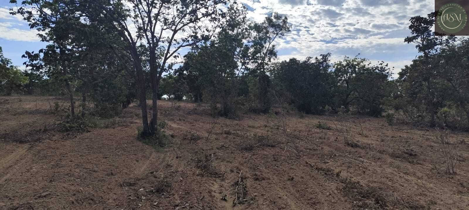Fazenda, 2340 hectares - Foto 19