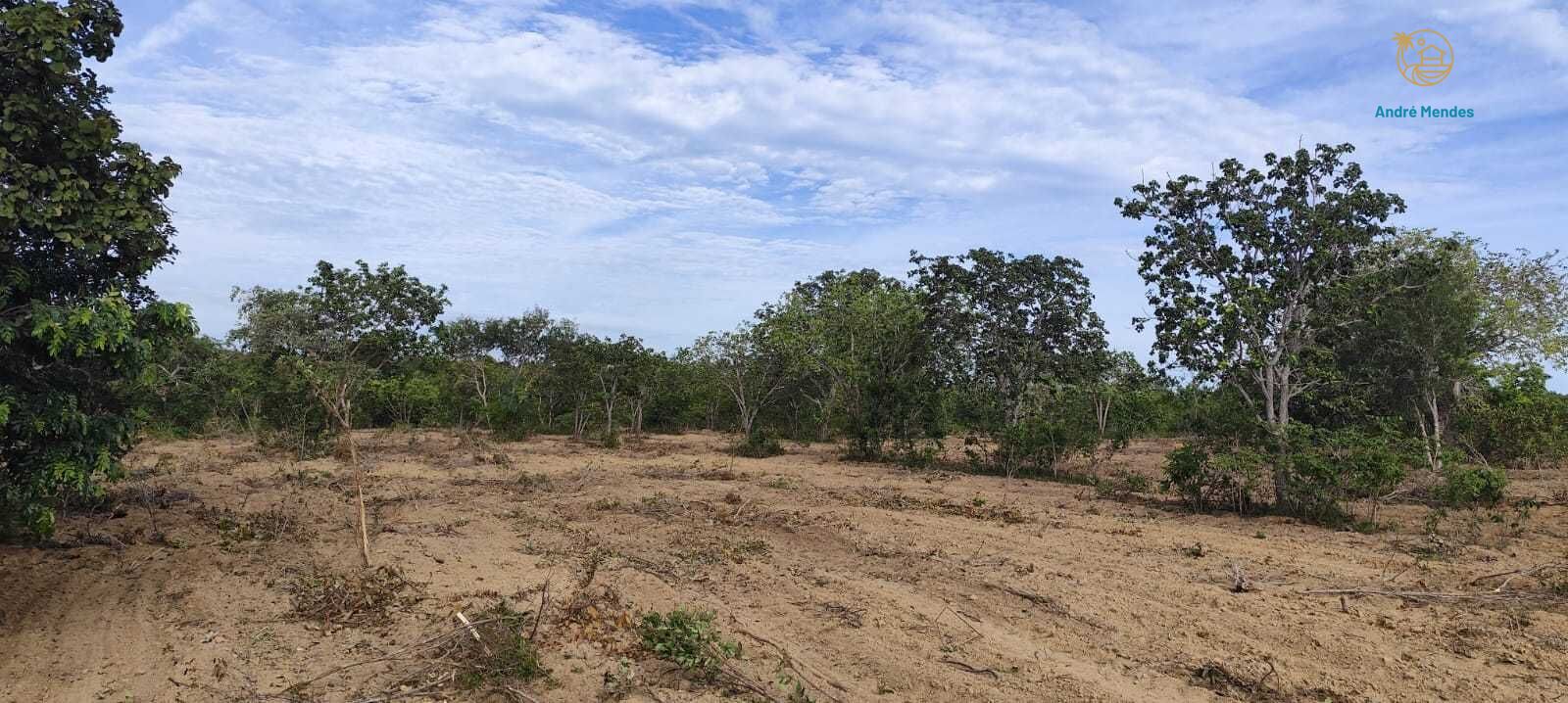 Fazenda, 2340 hectares - Foto 23