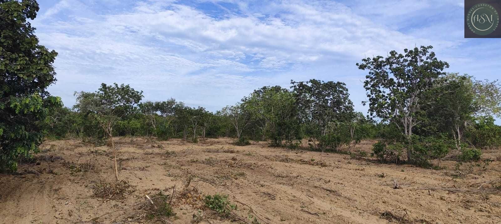 Fazenda, 2340 hectares - Foto 23