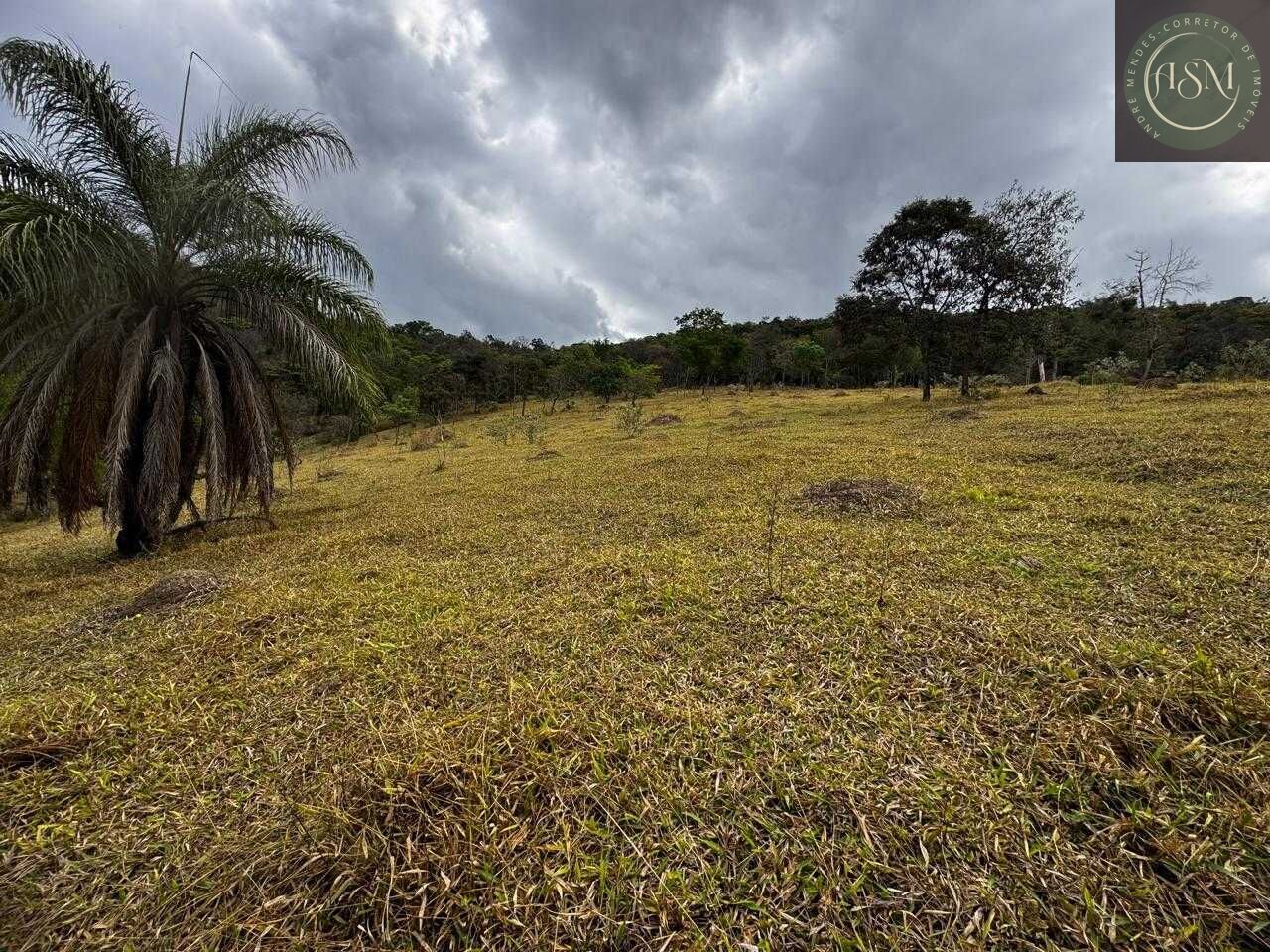 Fazenda, 64 hectares - Foto 9