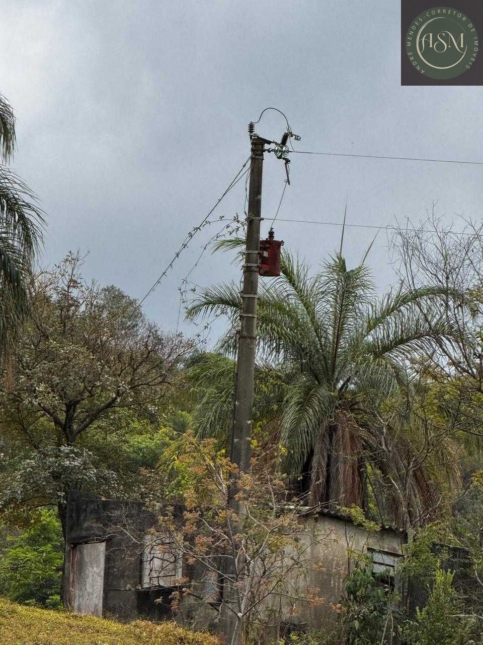 Fazenda, 64 hectares - Foto 19
