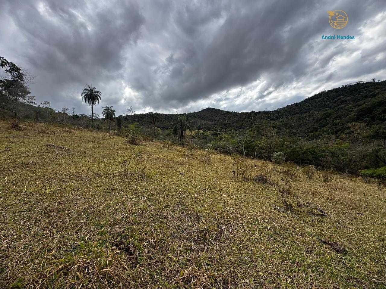 Fazenda, 64 hectares - Foto 20