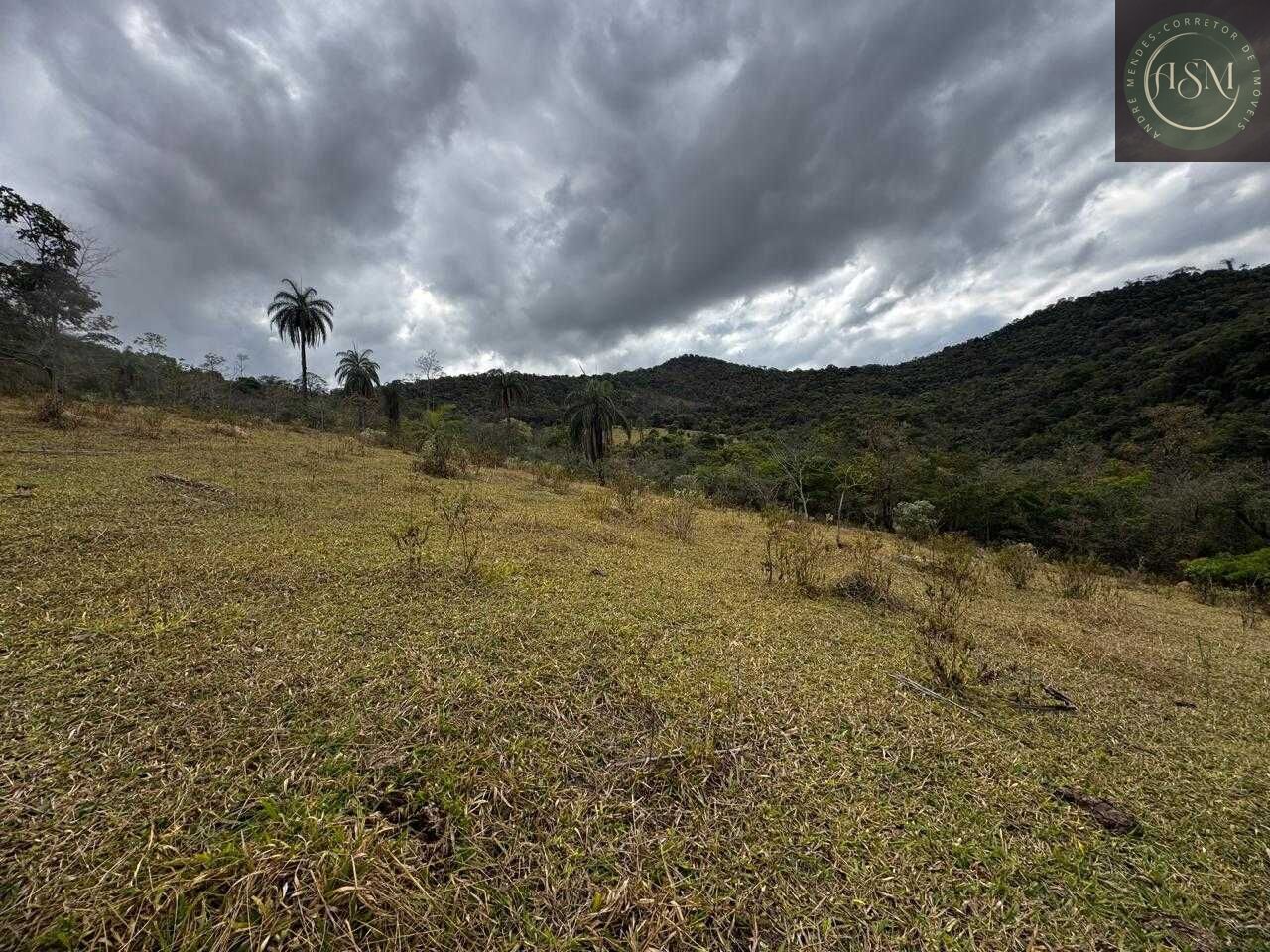 Fazenda, 64 hectares - Foto 20