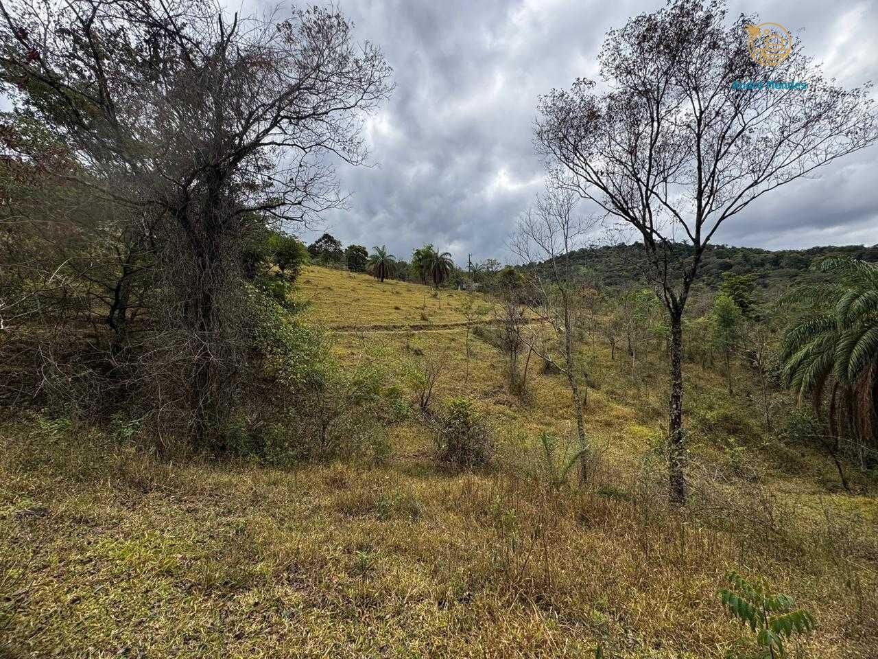 Fazenda, 64 hectares - Foto 11