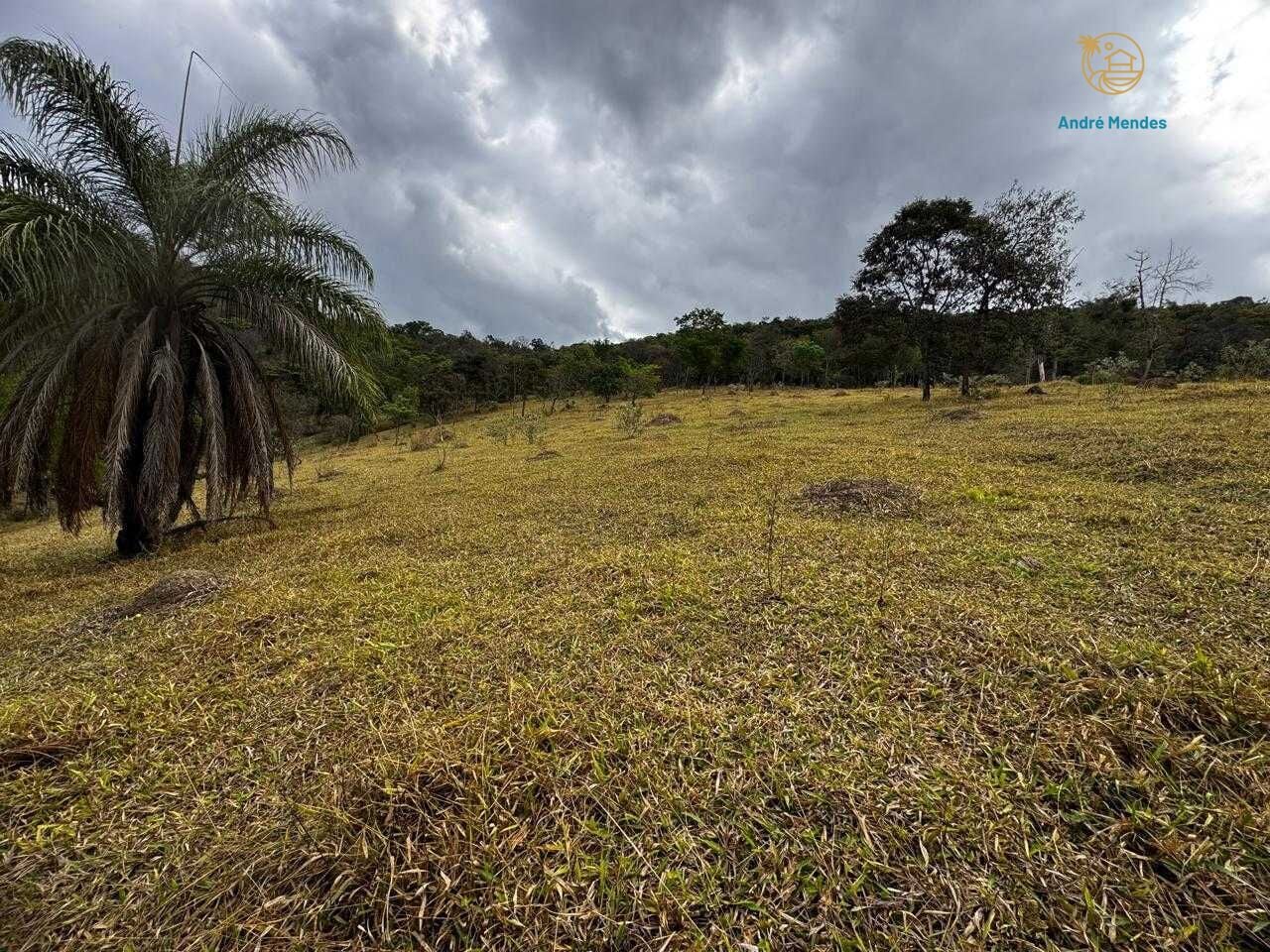 Fazenda, 64 hectares - Foto 10