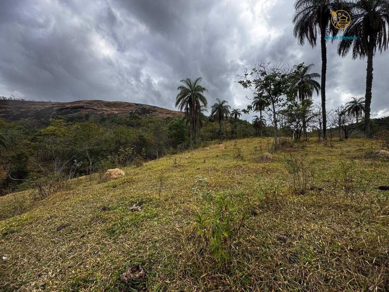 Fazenda, 64 hectares - Foto 24