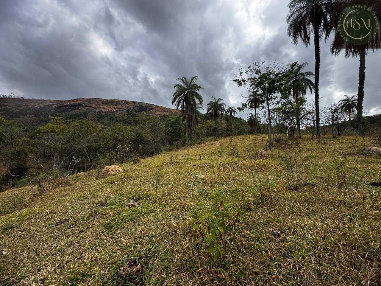 Fazenda, 64 hectares - Foto 24
