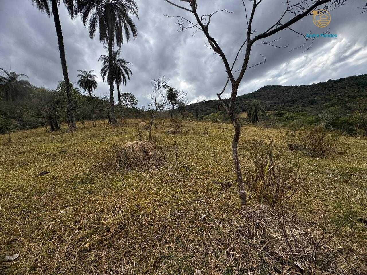 Fazenda, 64 hectares - Foto 22