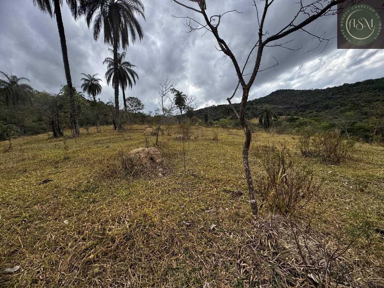 Fazenda, 64 hectares - Foto 22