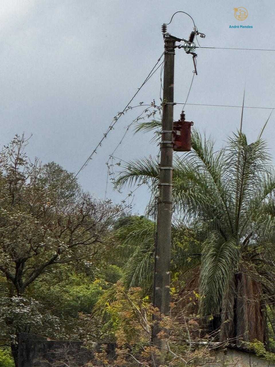 Fazenda, 64 hectares - Foto 18