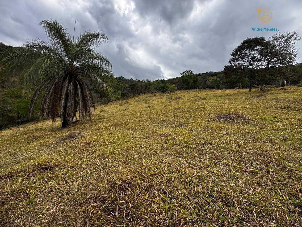 Fazenda, 64 hectares - Foto 8