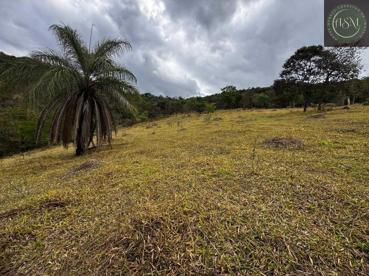 Fazenda, 64 hectares - Foto 8