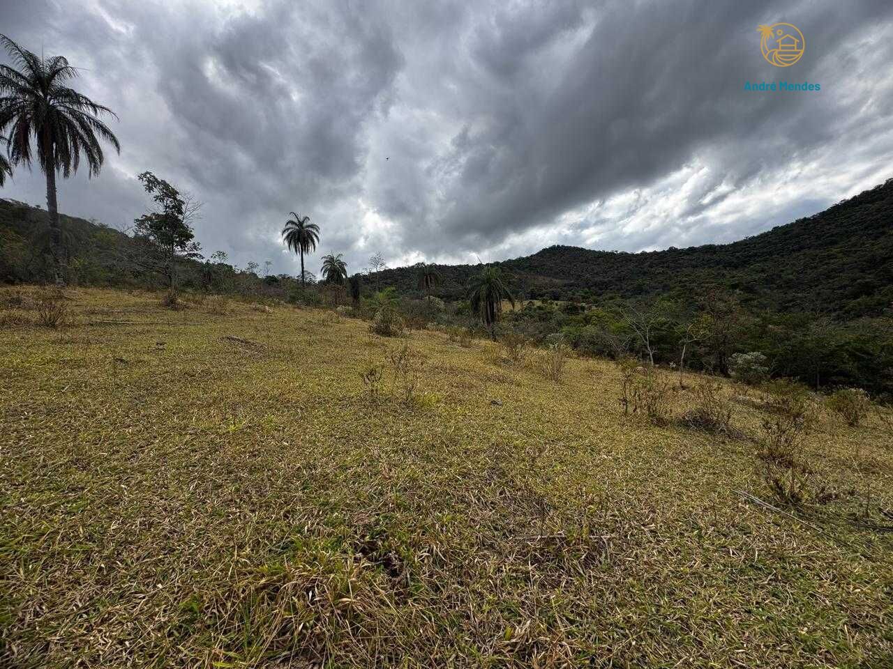 Fazenda, 64 hectares - Foto 21