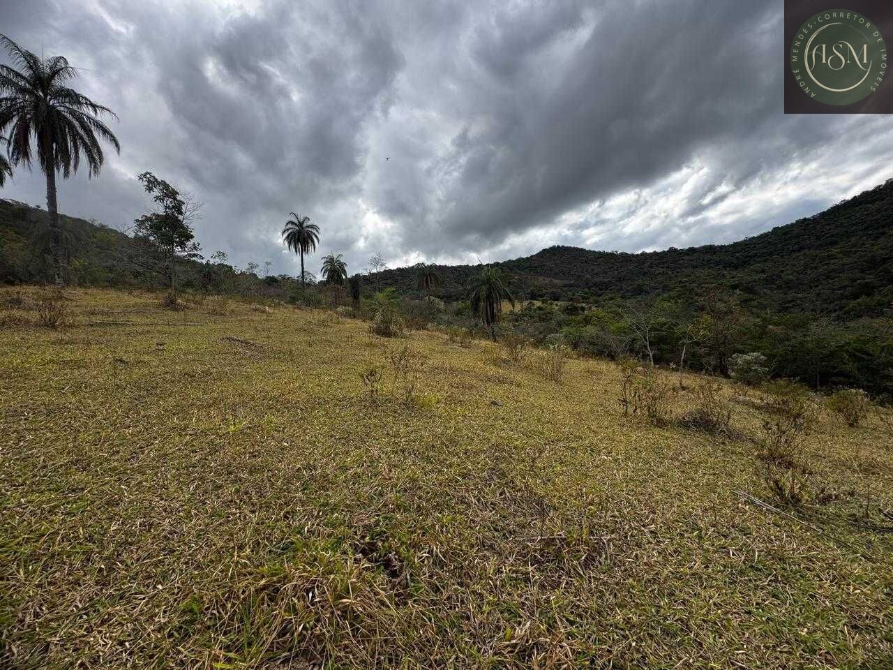 Fazenda, 64 hectares - Foto 21
