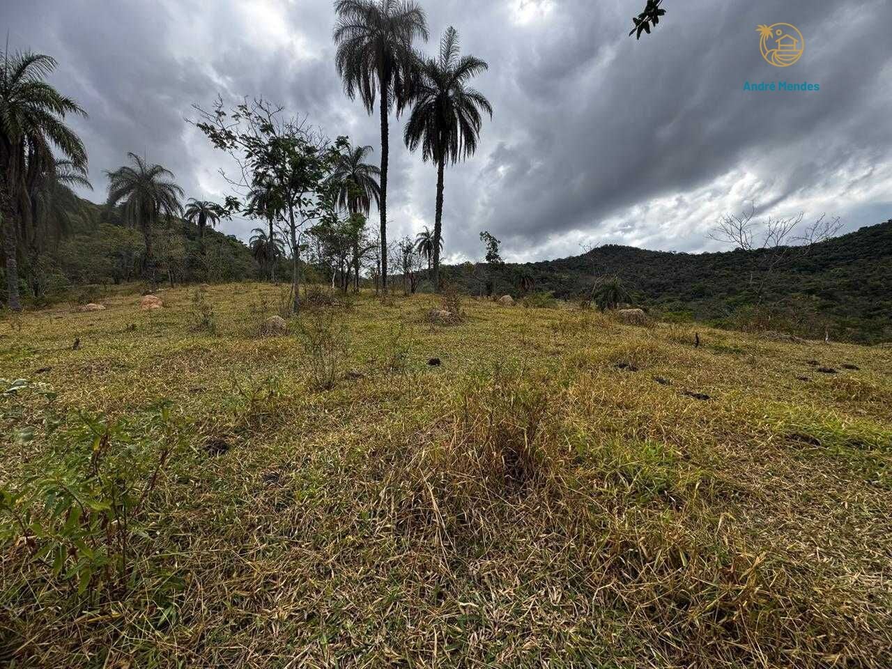 Fazenda, 64 hectares - Foto 25