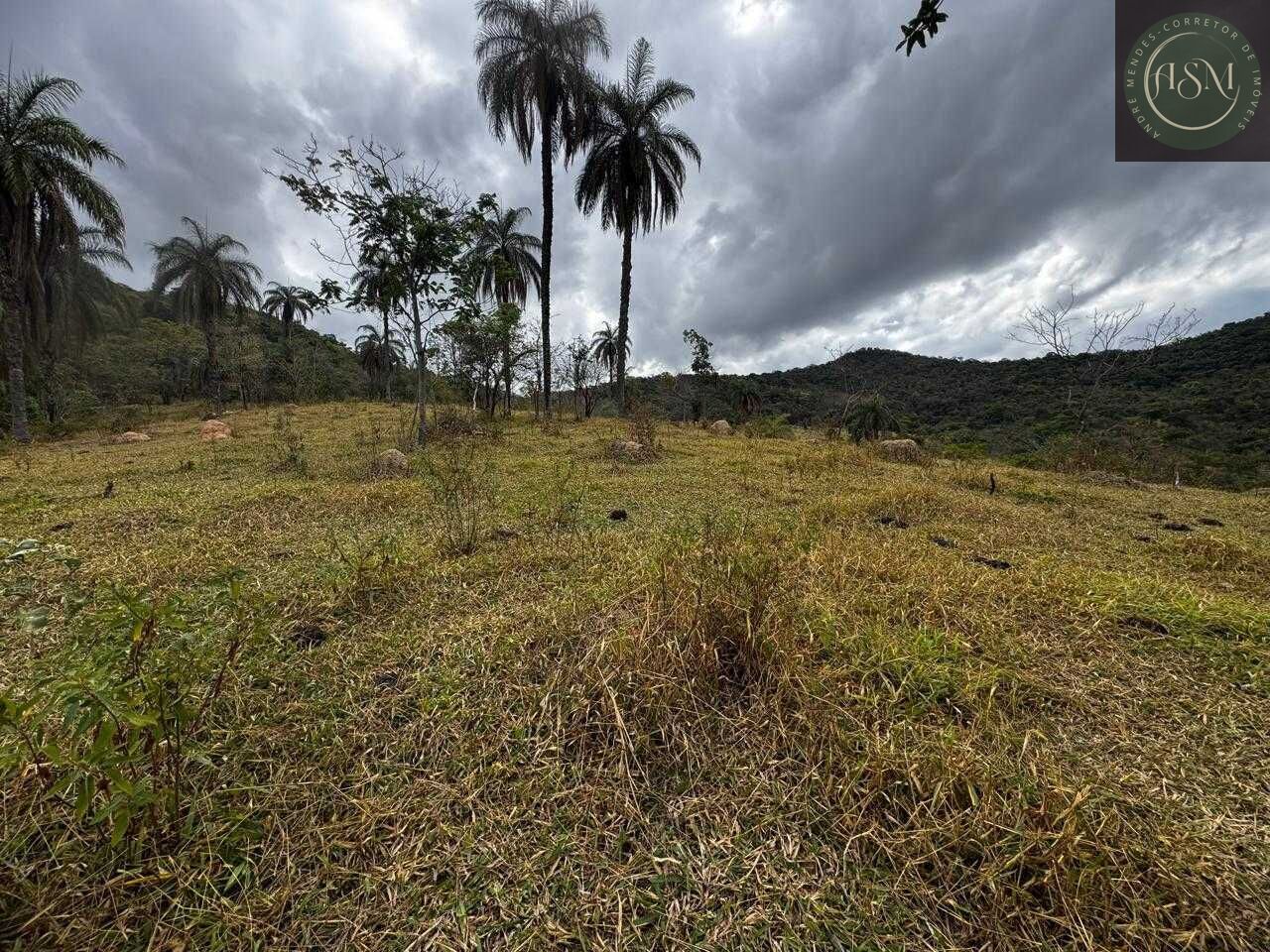 Fazenda, 64 hectares - Foto 25