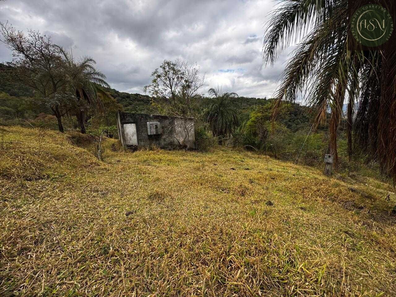 Fazenda, 64 hectares - Foto 6