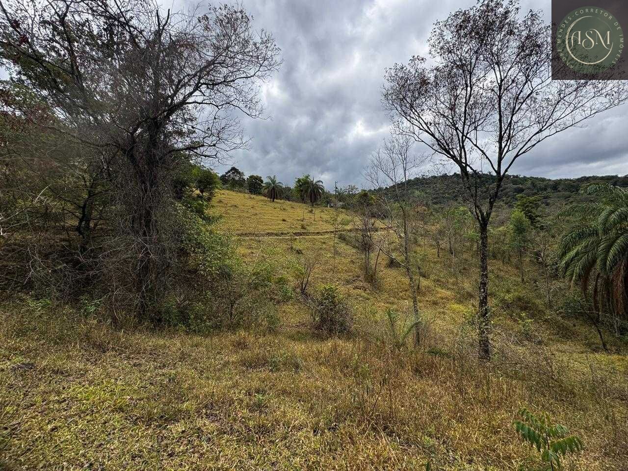 Fazenda, 64 hectares - Foto 17
