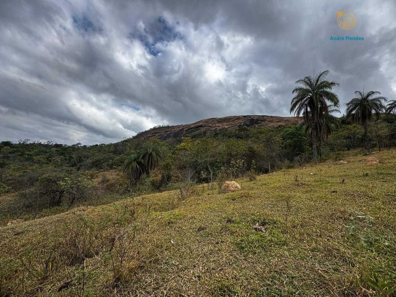 Fazenda, 64 hectares - Foto 23