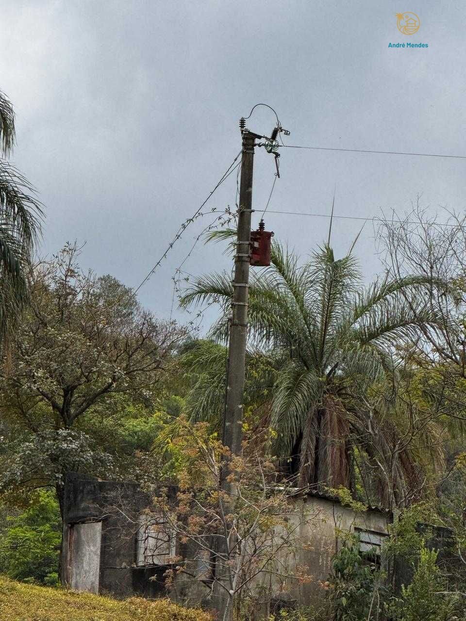 Fazenda, 64 hectares - Foto 15