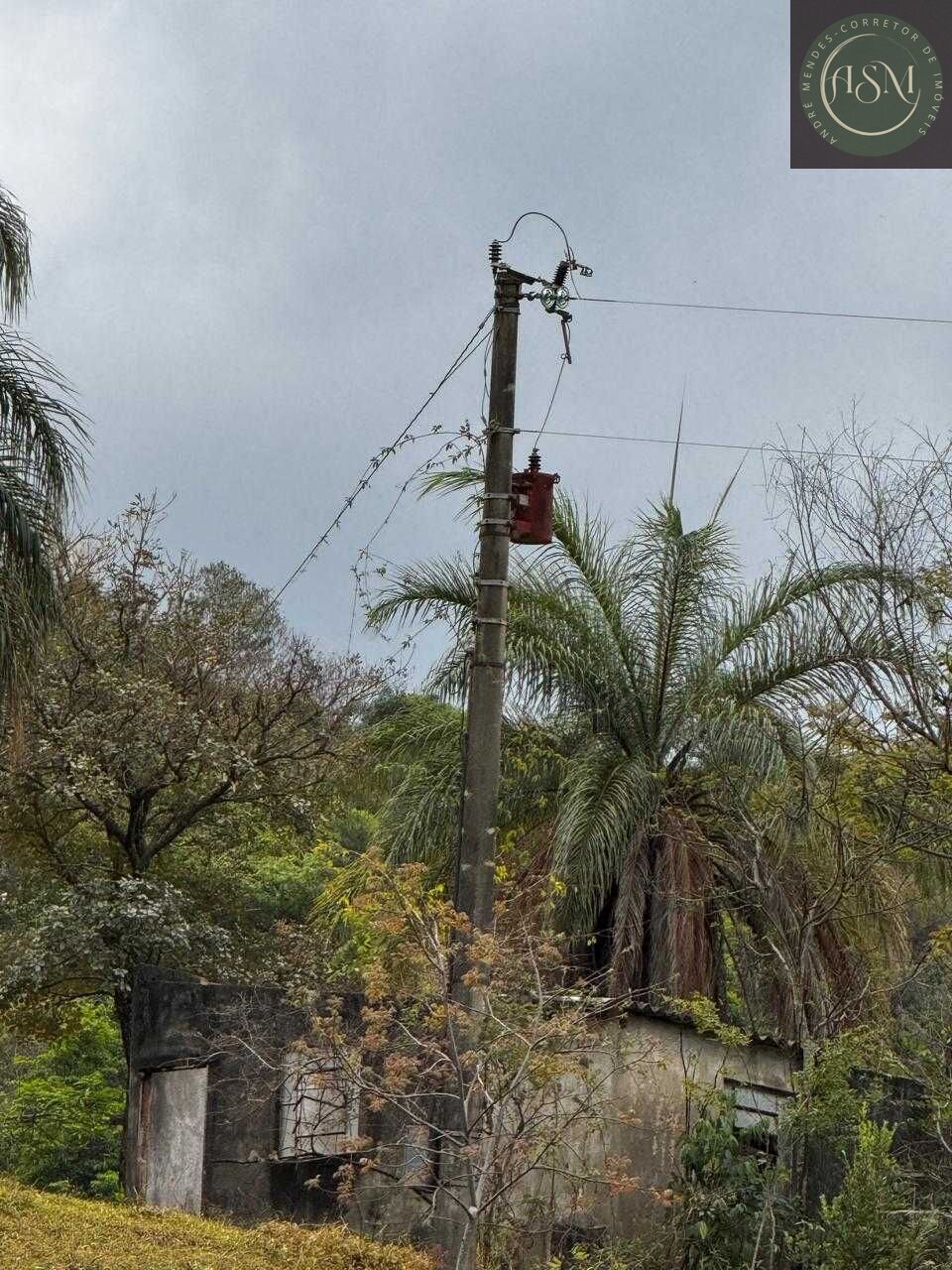 Fazenda, 64 hectares - Foto 15