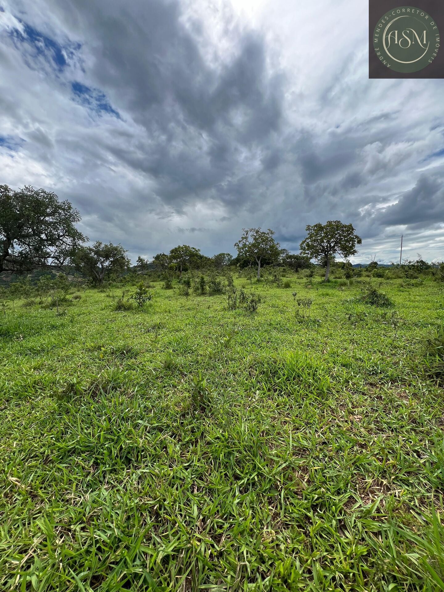 Terreno, 2 hectares - Foto 9