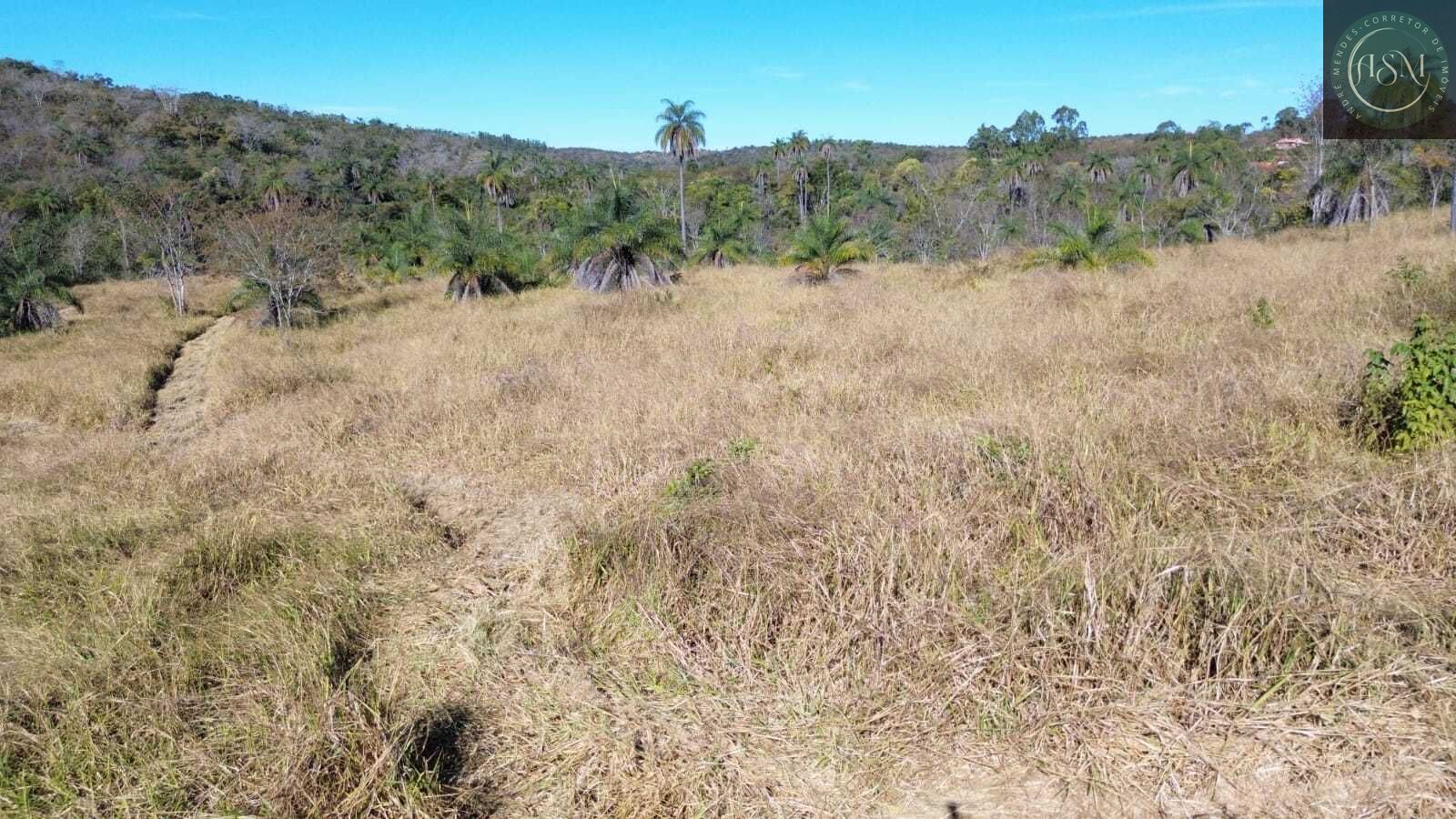 Terreno, 2 hectares - Foto 14