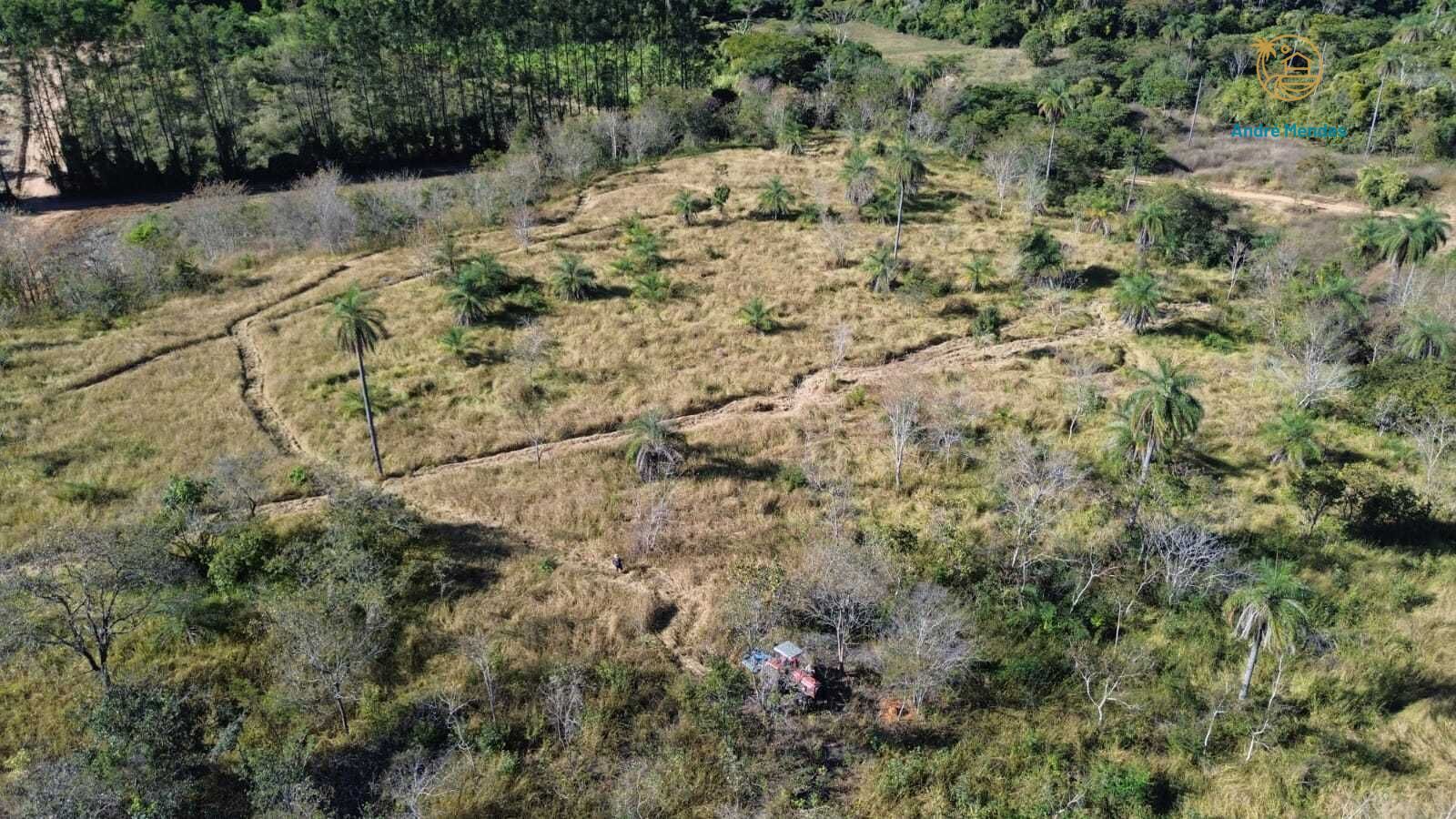 Terreno, 2 hectares - Foto 18