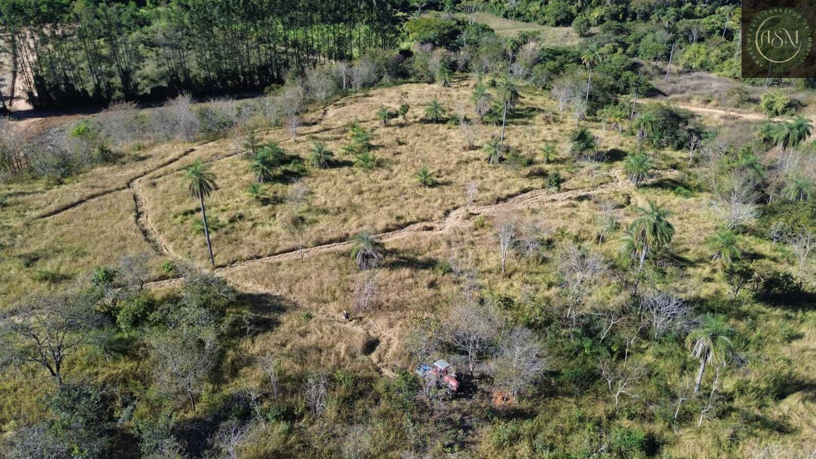 Terreno, 2 hectares - Foto 18