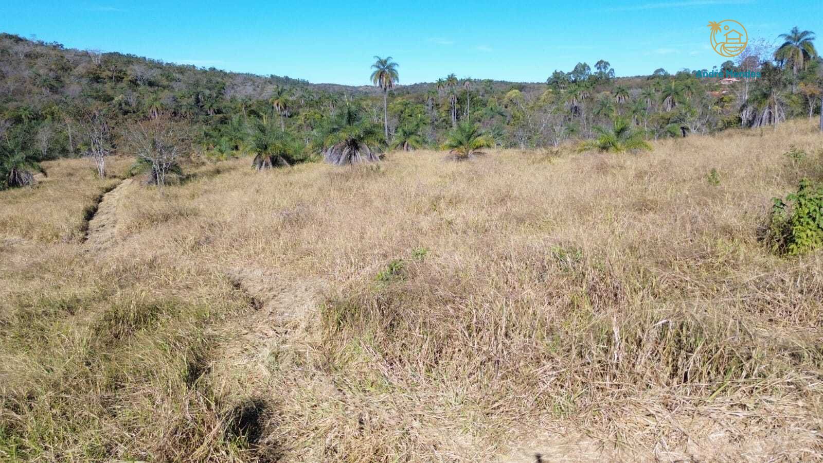 Terreno, 2 hectares - Foto 15