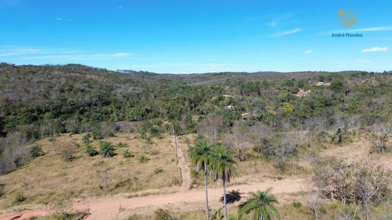 Terreno, 2 hectares - Foto 3