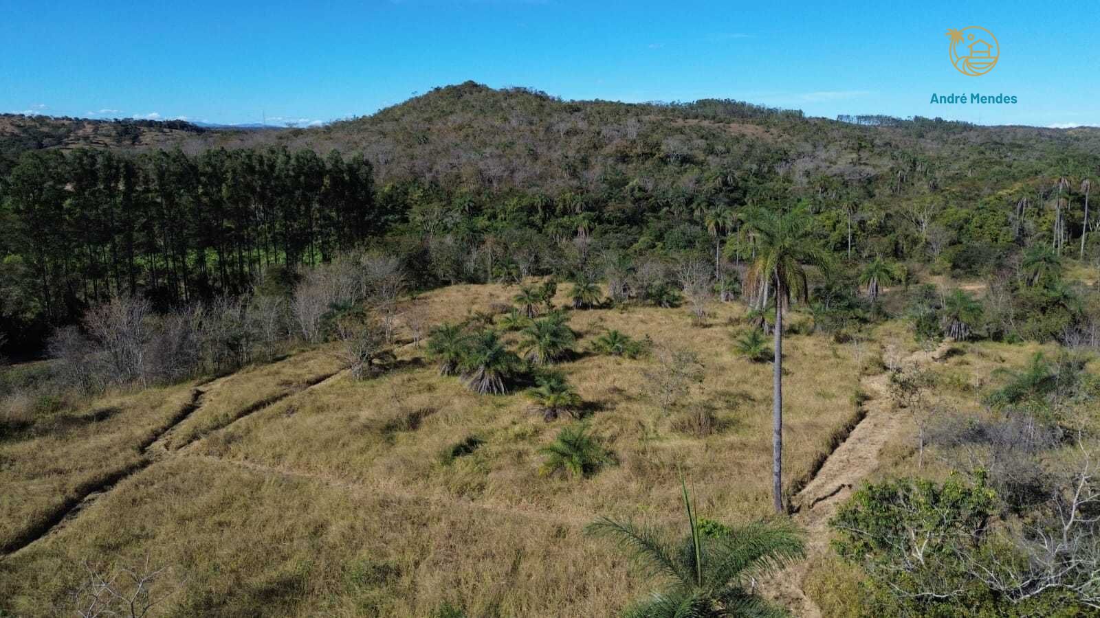 Terreno, 2 hectares - Foto 16