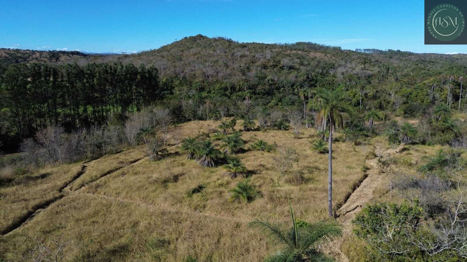 Terreno, 2 hectares - Foto 16