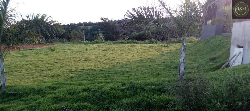 Terreno, 5000 m² - Foto 12