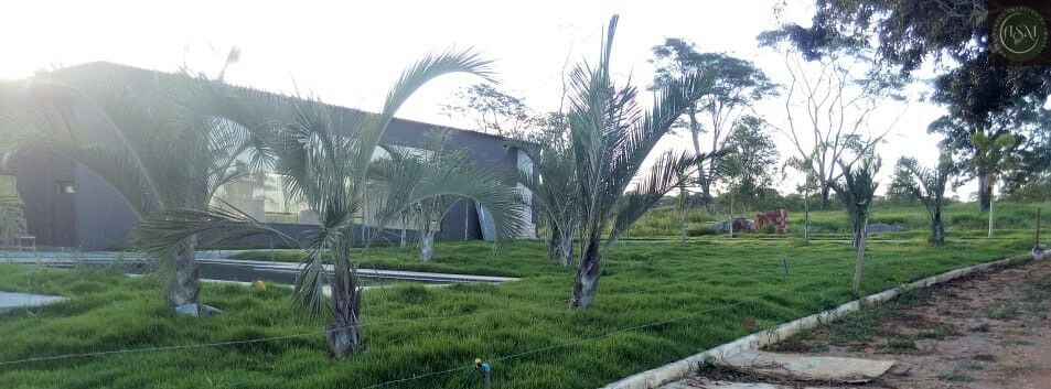 Terreno, 5000 m² - Foto 9