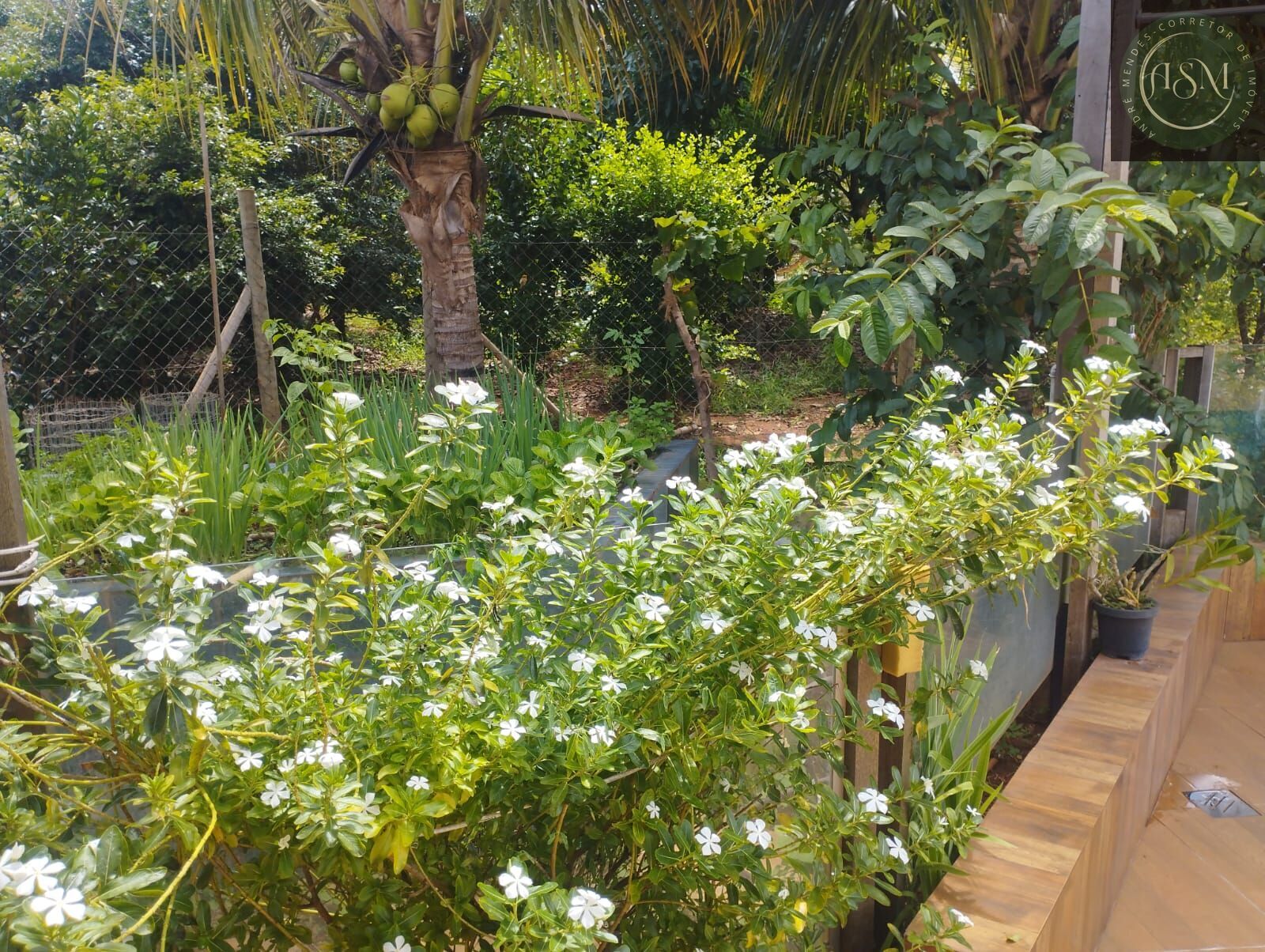 Chácara, 5 quartos, 200 m² - Foto 22