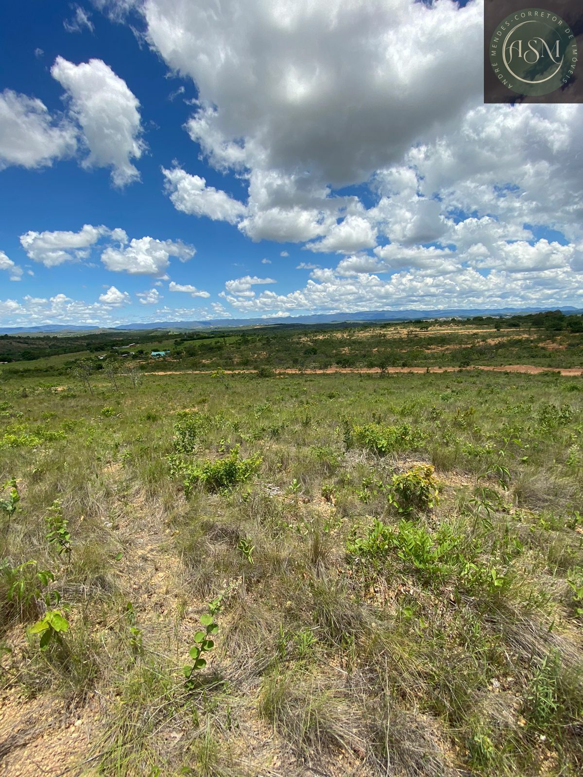 Terreno, 2 hectares - Foto 8