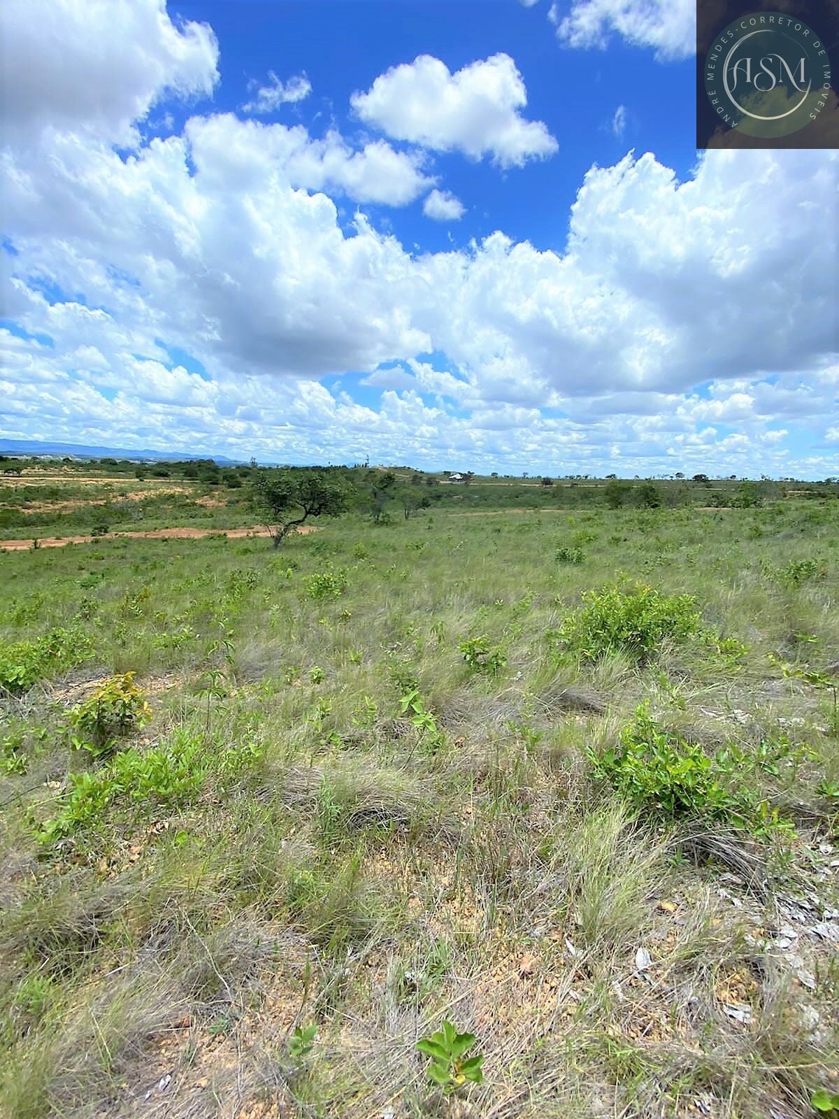Terreno, 2 hectares - Foto 4